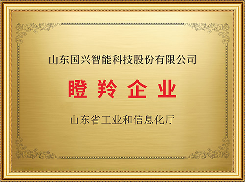 山东瞪羚企业